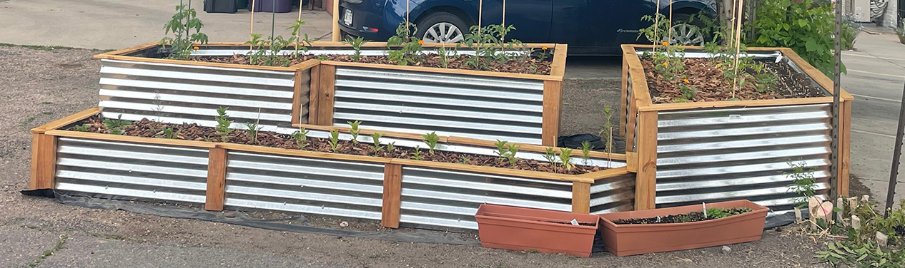 Garden Beds